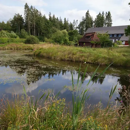 Blockhaus Quellental Holiday home *